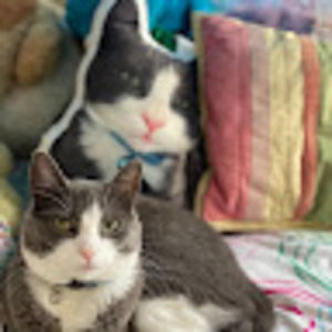 Meet your Posher, Eliza